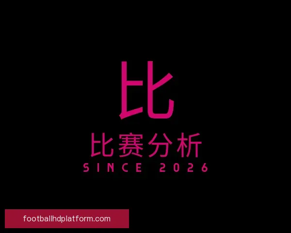 介绍比赛分析